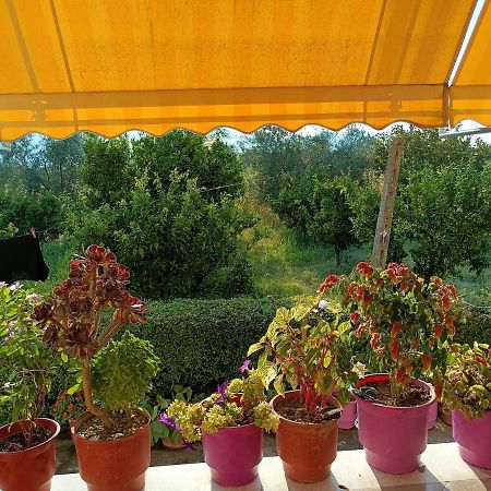 Guest House Fetie Berat Exterior foto
