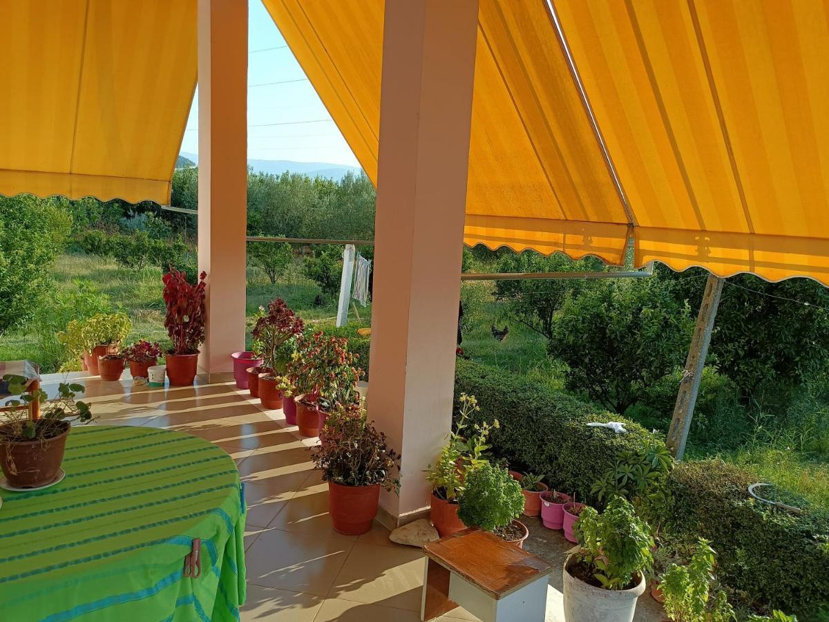 Guest House Fetie Berat Exterior foto